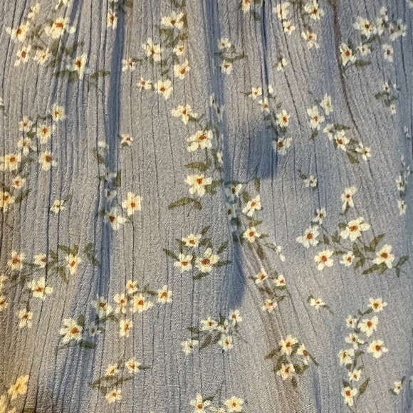 Pink Rose Blue Floral Dress - Picture 6 of 6